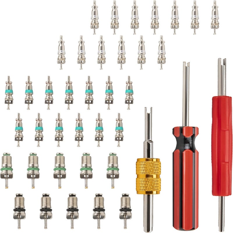 ecocstm 39 PCS Air Conditioning Valve Core Accessories Kit, R12 R134a Refrigeration Schrader Tire Valve Stem Cores with Single & Dual Heads Valve Core Remover Installer Tool, HVAC System Seal Caps Kit - Image 1